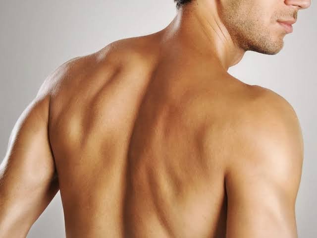 Full Body Waxing in Bangalore at Royal Plam Wellness